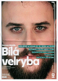 Bílá velryba